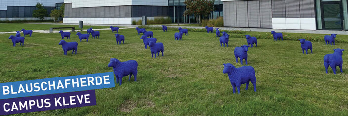 Hochschule setzt mit Blauschafherde ein Zeichen für Toleranz,  Internationalität und Verbundenheit aller Völker