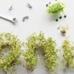 A journey into the world of STEM (News)