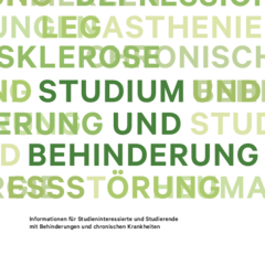 Handbuch Studium und Behinderung 