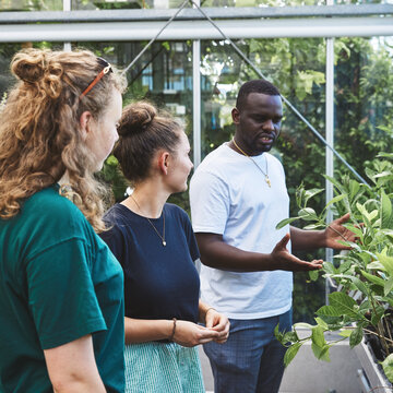 Zwei Studentinnen und ein Student unterschiedlicher Herkunft stehen in einem hellen Gewächshaus zwischen verschiedenen üppigen Grünpflanzen. Der Student in einem weißen T-Shirt zeigt mit geöffneten Händen erklärend auf die Blätter einer höheren Pflanze, während die beiden Studentinnen neben ihm aufmerksam zuhören und die Pflanze betrachten.