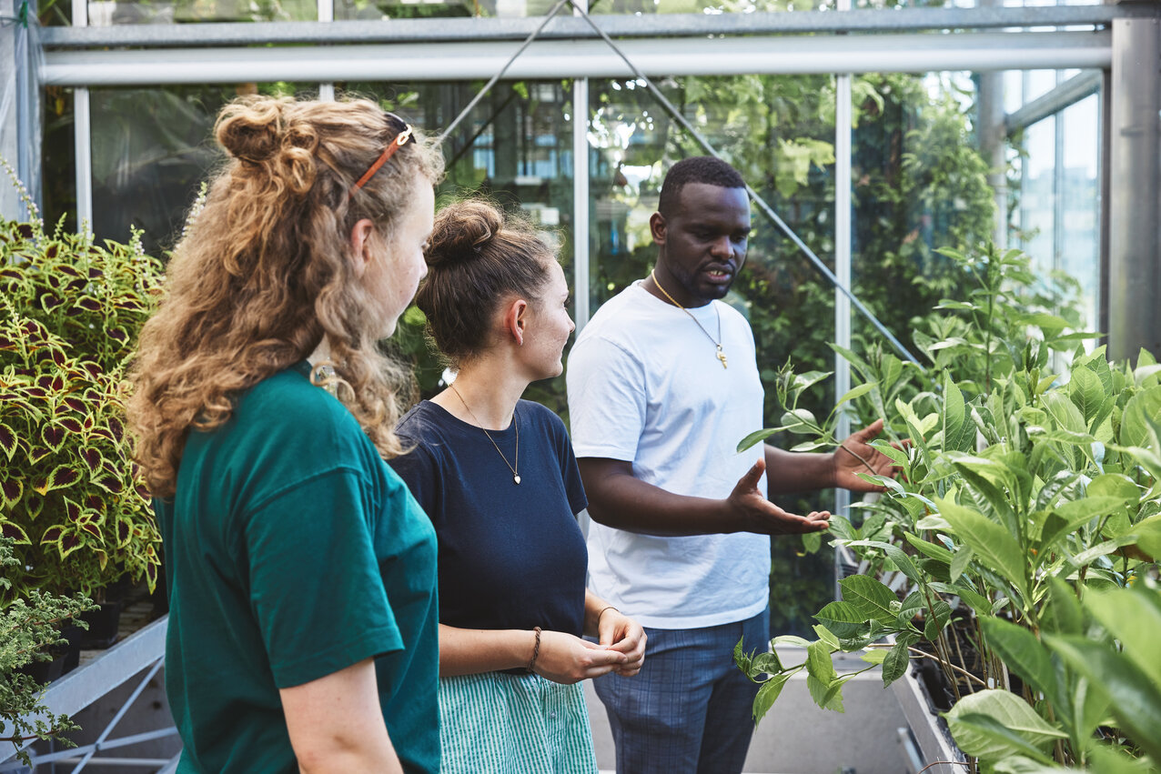Studierende tauschen sich im Gewächshaus über Pflanzen aus