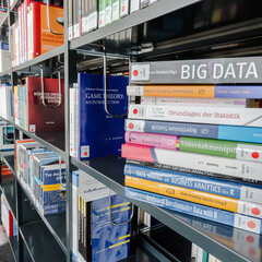 Books on the library shelf