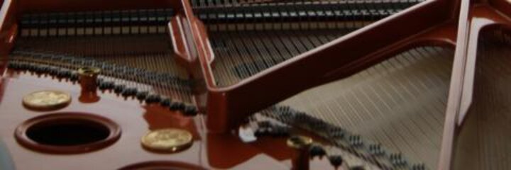 Musik als Wundermittel und Geheimcode?