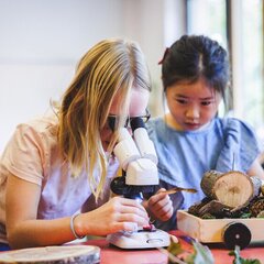 One child is looking through a microscope. Another is watching them.