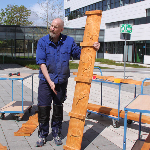 Maibaum auf dem Campus in Kleve errichtet