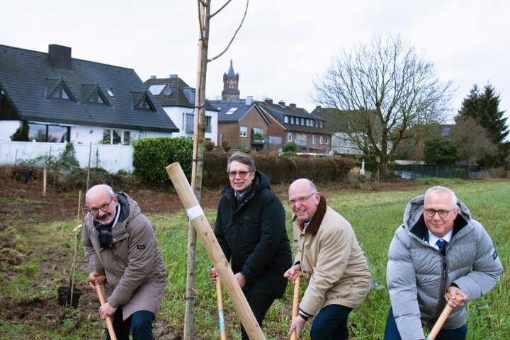Erster Spatenstich für das Pilotprojekt "Alleen 3" - v.l.n.r.: Wolfgang Gebing, Bürgermeister der Stadt Kleve, Christian Bomblat, Technischer Beigeordneter der Stadt Kleve, Karl Werring, Präsident der Landwirtschaftskammer NRW und Peter Kisters, Vizepräsident für Forschung, Innovation und Wissenstransfer der HSRW sowie Projektleiter des Projekts TransRegINT,