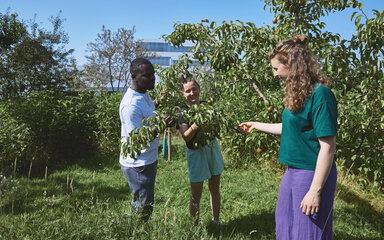 Eine Gruppe von drei Studierenden steht an einem sonnigen Tag auf einer Wiese in einem grünen Obstgarten vor einem Baum. Eine Studentin hält einen langen Ast fest, den die Gruppe gemeinsam untersucht. Im Hintergrund leuchtet der blaue Himmel über einem modernen Hochschulgebäude.