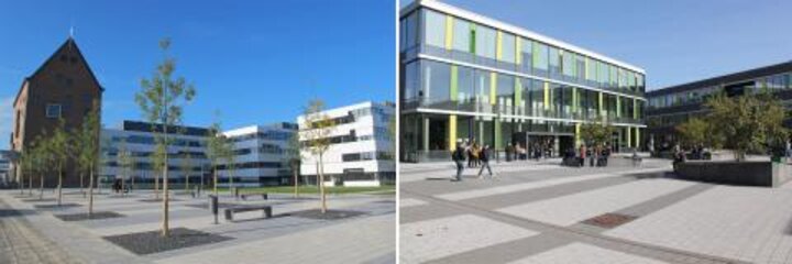 Weiterhin über 7.000 Studierende an der Hochschule Rhein-Waal