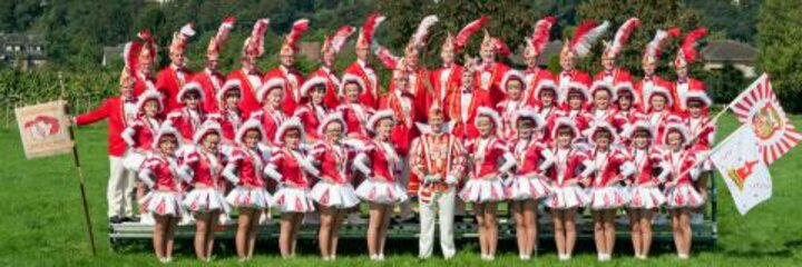 Der Karneval unter der Lupe