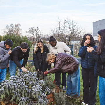 Am Kräuterbeet draußen - Wirtschaft trifft Natur im Lehrgarten Eine Gruppe von Studierenden steht draußen im Hochschulgarten um ein hochgemauertes, bepflanztes Beet herum. Sie befühlen und untersuchen die Blätter der Kräuter.