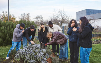 Am Kräuterbeet draußen - Wirtschaft trifft Natur im Lehrgarten Eine Gruppe von Studierenden steht draußen im Hochschulgarten um ein hochgemauertes, bepflanztes Beet herum. Sie befühlen und untersuchen die Blätter der Kräuter.