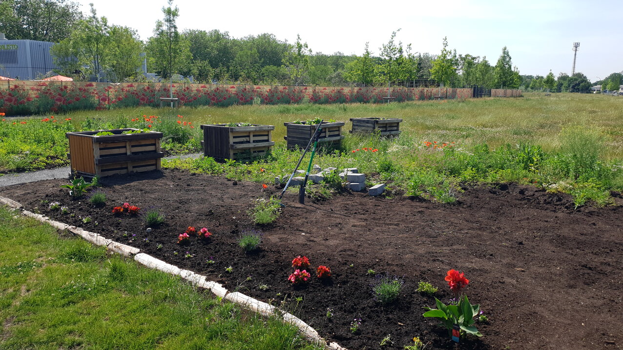 Community initiatives are bringing the Zechenpark in Kamp-Lintfort to life