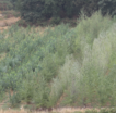 16th Lower Rhine Agroforestry Practitioners’ Round Table