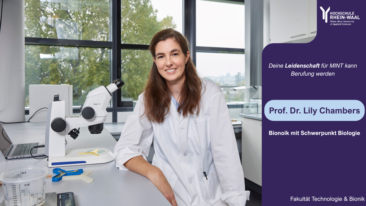 Vortsellungsvideo von Prof. Lily Chambers