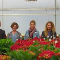 Sustainability in horticulture