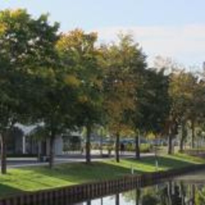 Start der Mittwochsakademie