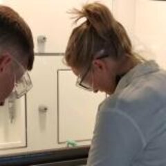 A cure for damaged bones from the laboratory