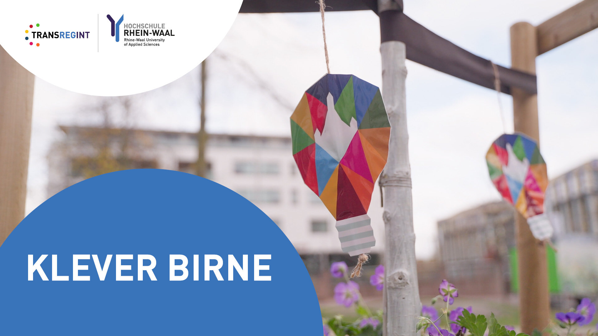 Video Klever Birne