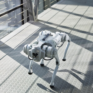 Ein vierbeiniger Roboter läuft über eine Brücke am Campus.