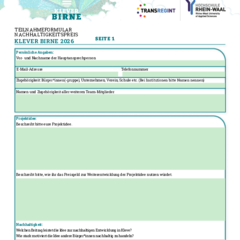 Bewerbungsformular Klever Birne