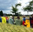 Führung durch das Agroforst-Reallabor Alleen 3