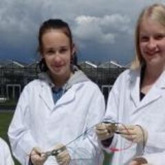 Girls’ Day and Boys’ Day 2017 at Rhein-Waal University of Applied Sciences