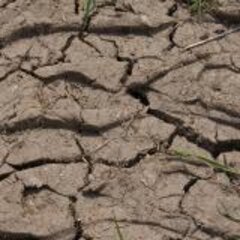 Yuck, it’s alive! – The wonderful world of the soil