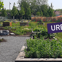 Gemeinschaftsaktionen lassen Zechenpark in Kamp-Lintfort erblühen