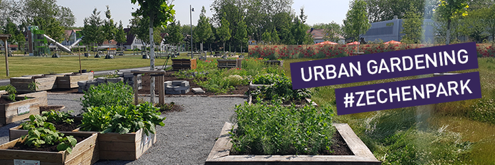 Gemeinschaftsaktionen lassen Zechenpark in Kamp-Lintfort erblühen