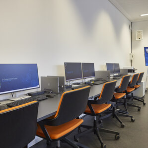 Computer-Arbeitsplätze im E-Government Labor