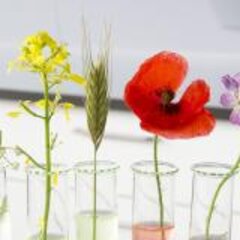 Workshop zum geplanten Green FabLab in Kamp-Lintfort