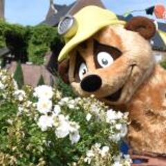 Experience. Discover. Explore – the 2020 State Garden Show