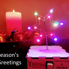 Season’s Greetings