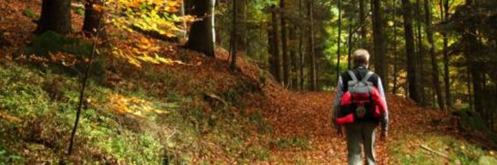 Kreative Handlungsempfehlungen für die Deutsche Pfadfinderschaft St. Georg