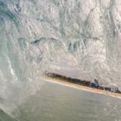 Waves bring zest to life