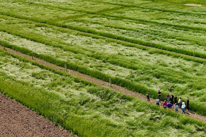 Begehung eines neuangepflanzten Agroforsts.