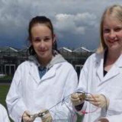 Girls, get behind the machines: there are still places available at the Rhein-Waal University of Applied Sciences’ Girls’ STEM Summer School