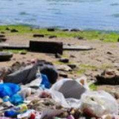 The Healthy Seas Initiative