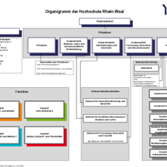 Organigramm Hochschule Rhein-Waal