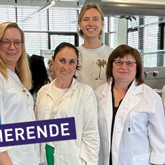 Ukrainian students are undertaking a laboratory placement at Rhein-Waal University of Applied Sciences