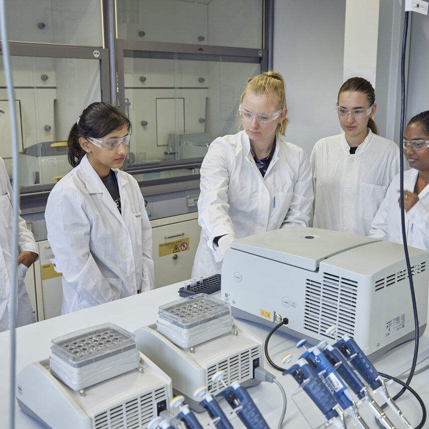 wissenschaftliche Mitarbeitende