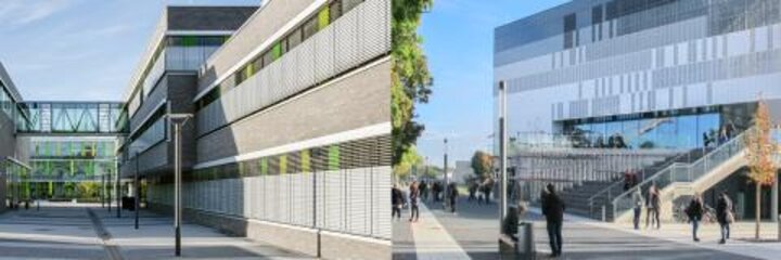 Workshops zur Studienorientierung an der Hochschule Rhein-Waal