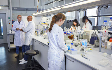 20260528_labor_uebersicht_studierende.jpg Foto eines großen Labors, in dem mehrere Studierende in Kitteln an Pipetten und anderen Geräten arbeiten, während im Hintergrund zwei Dozenten miteinander sprechen.
