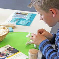 A child is making a model out of polystyrene and toothpicks