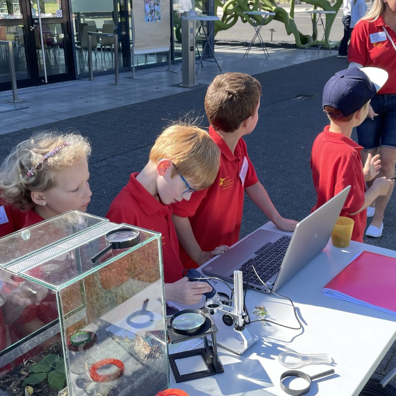 Hier betrachten die Kita-Kinder Bodentiere mit der digitalen Lupe und bestimmen sie mit Hilfe der Bodentierkarte des Hauses der kleinen Forscher.