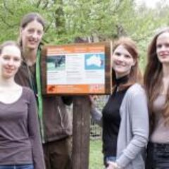 New information about raccoons and other animals