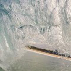 Waves Bring Excitement to Life (Lecture cancelled)