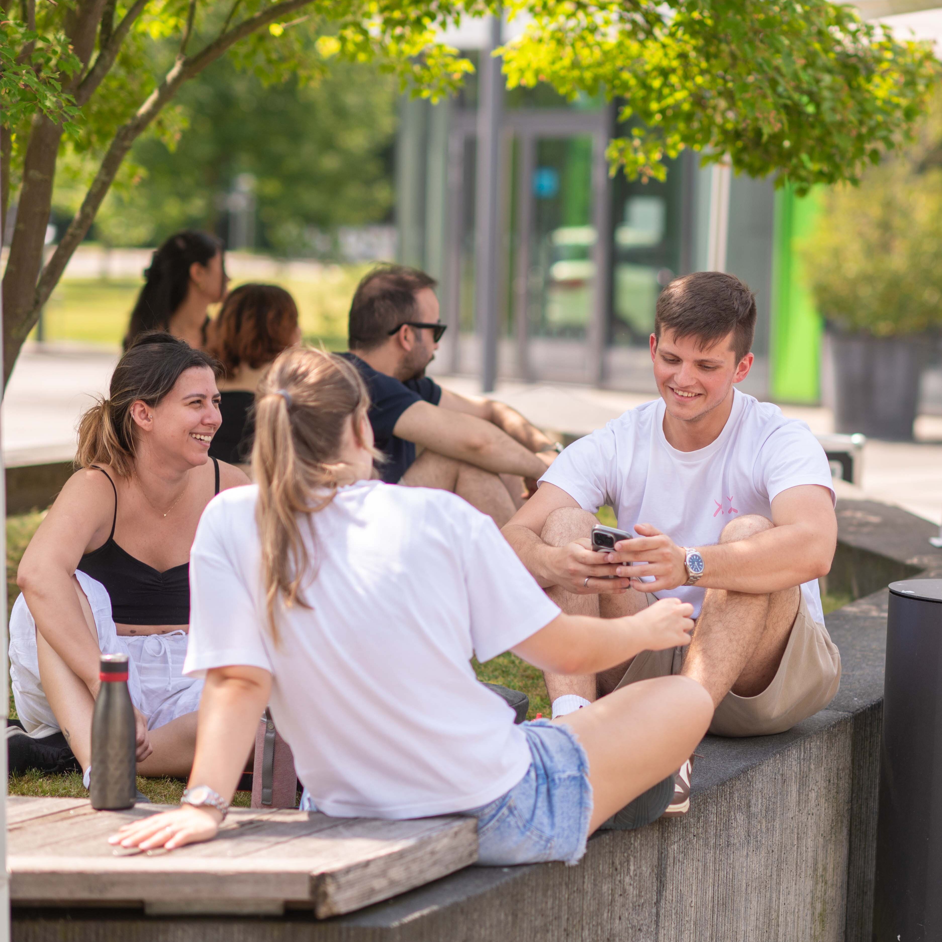 Eine Gruppe von Studierenden sitzt auf dem Campus unter einem Baum usammen
