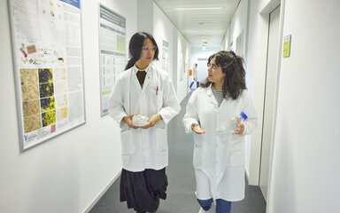 20260528_studierende_flur_laborgebaeude.jpg Foto zweier Studierender in weißen Kitteln, die sich gehend in einem hellen Flur unterhalten; eine Person trägt abgepackte Petrischalen, die andere eine Laborflasche.