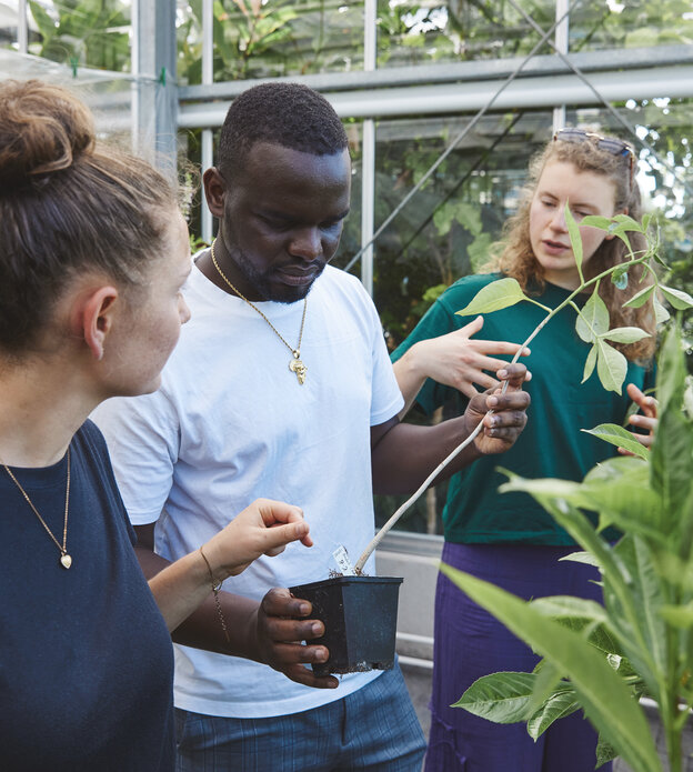 Sustainable Agriculture, B.Sc.